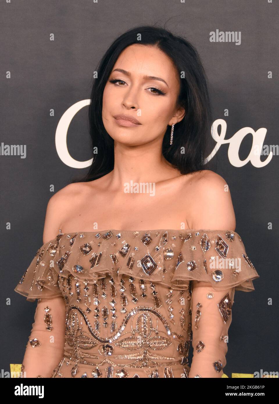 Los Angeles, California, USA 20th November 2022 Actress Christian