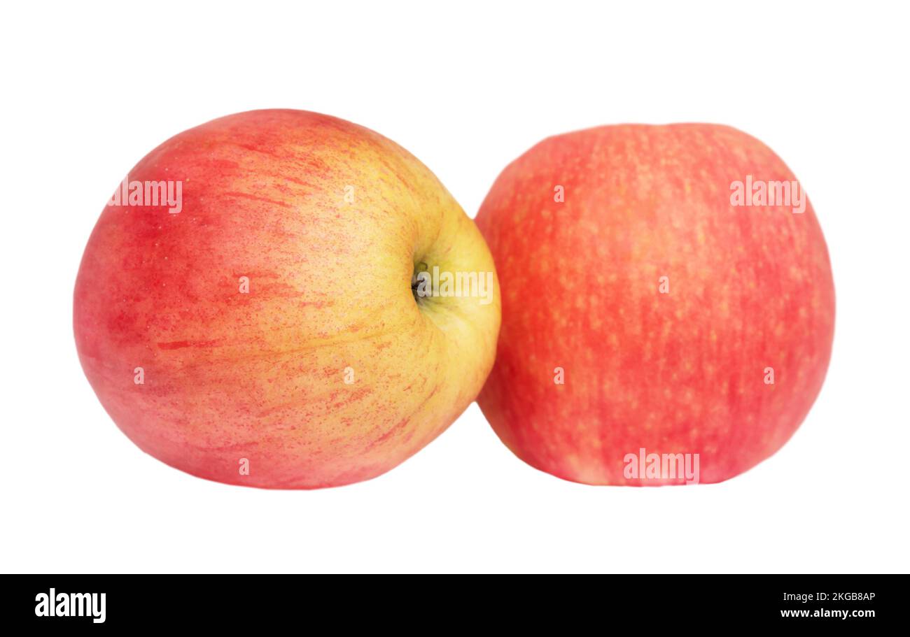 Pink apples isolated on white background Stock Photo