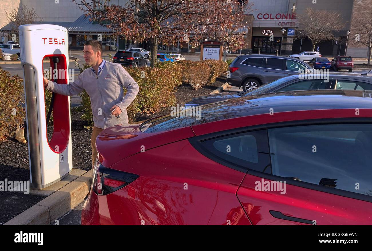 Colonie, United States. 22nd Nov, 2022. A man charges a Tesla Model 3