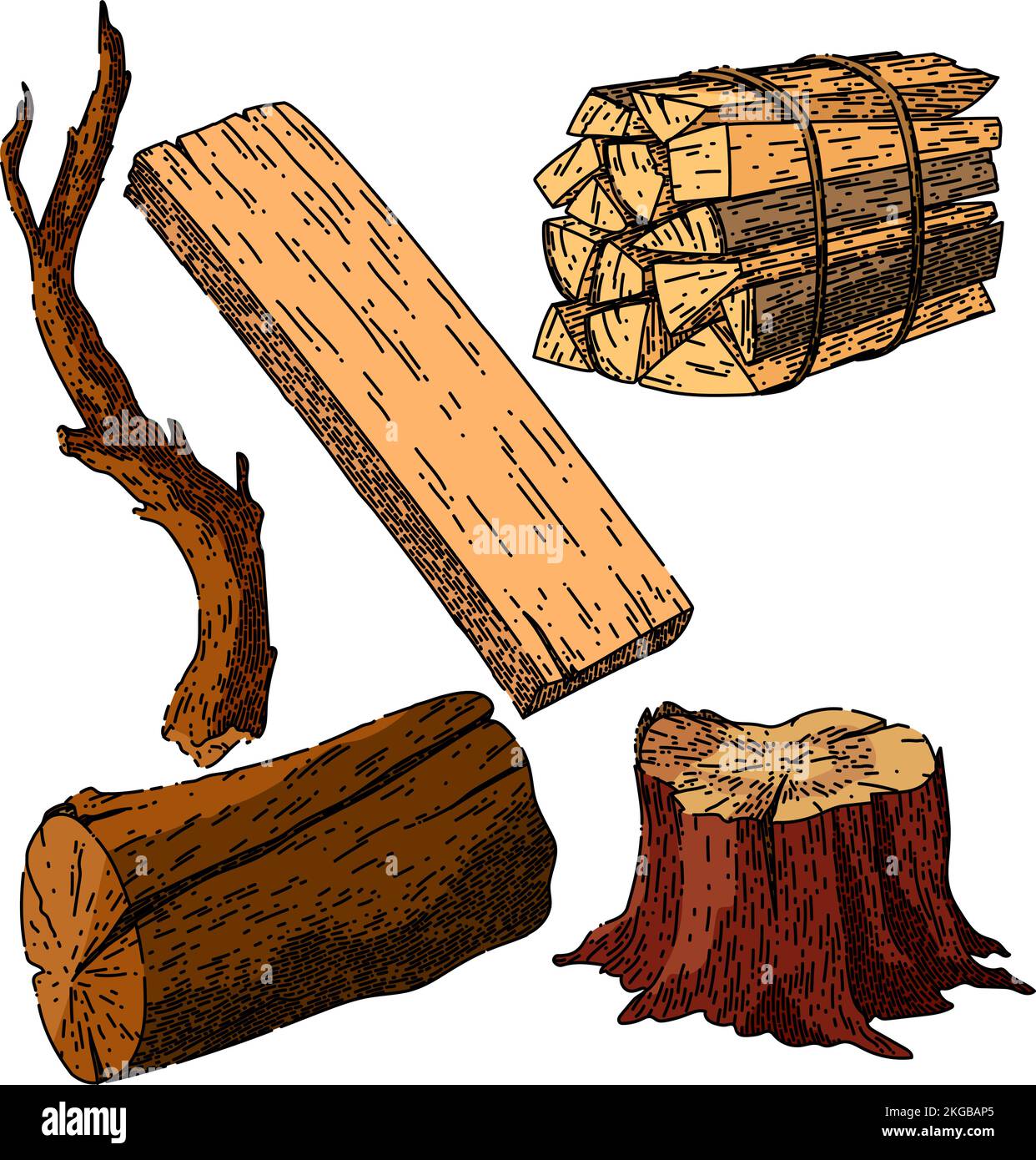 wood log set sketch hand drawn vector Stock Vector