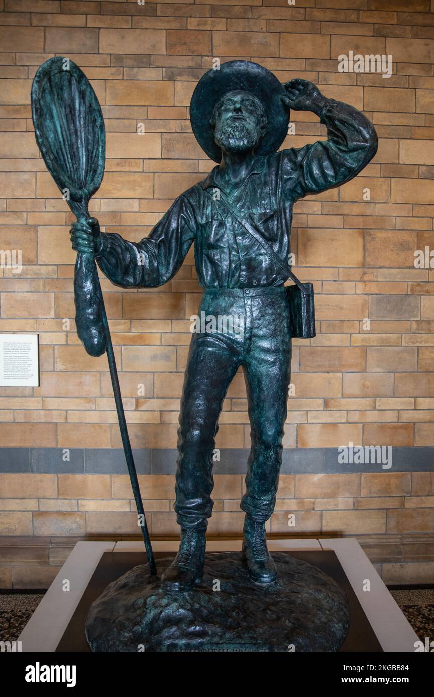 A statue of Alfred Russel Wallace in Natural History Museum Stock Photo