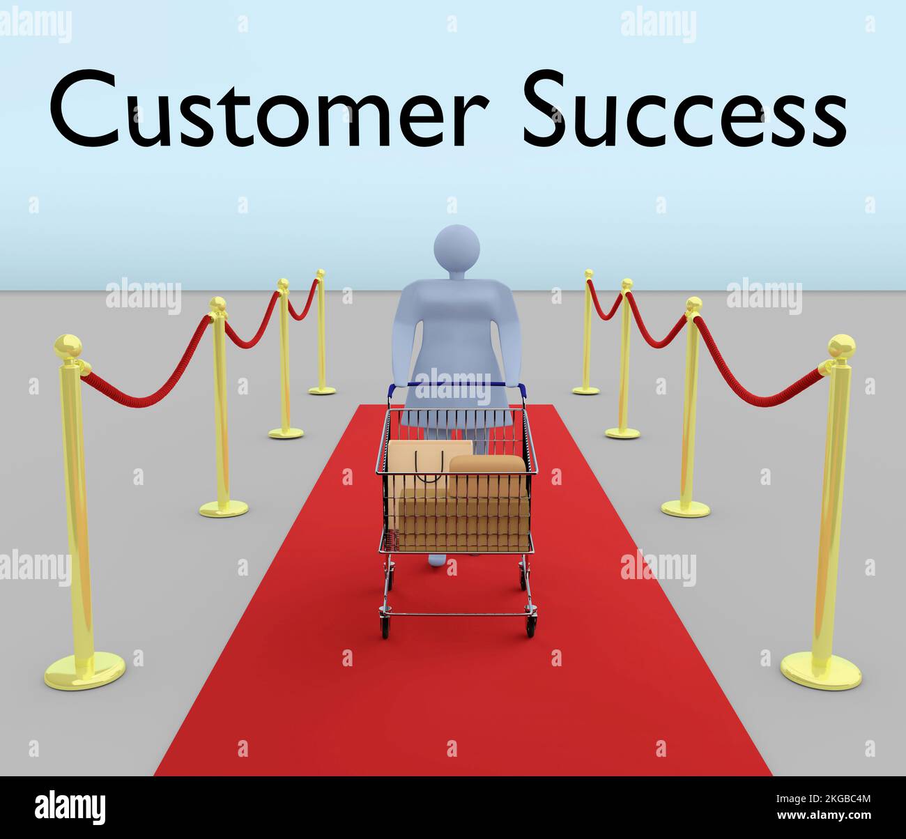 3D illustration of a woman silhouette pushing a shopping cart on a red carpet, with the title Customer Success. Stock Photo