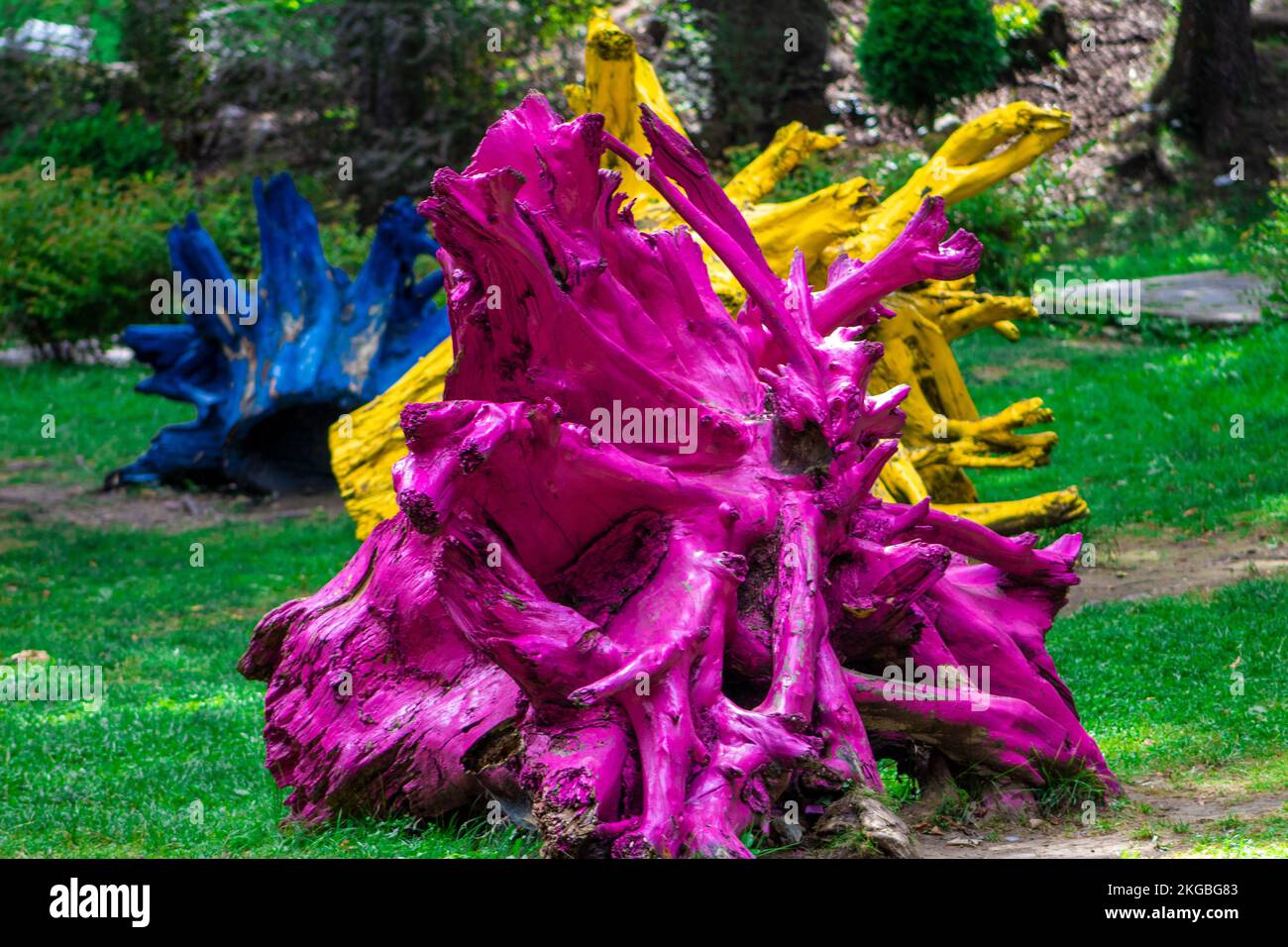 The view of cut trees colored in vibrant colors in a park Stock Photo ...