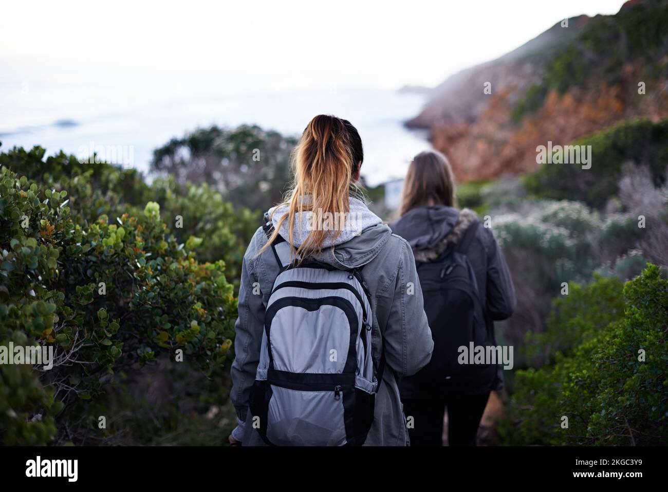 Hiking through nature hi-res stock photography and images - Alamy