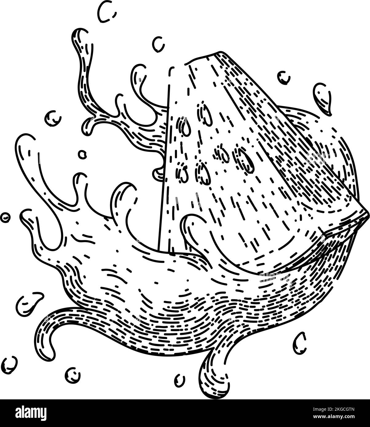 watermelon juice sketch hand drawn vector Stock Vector Image & Art Alamy