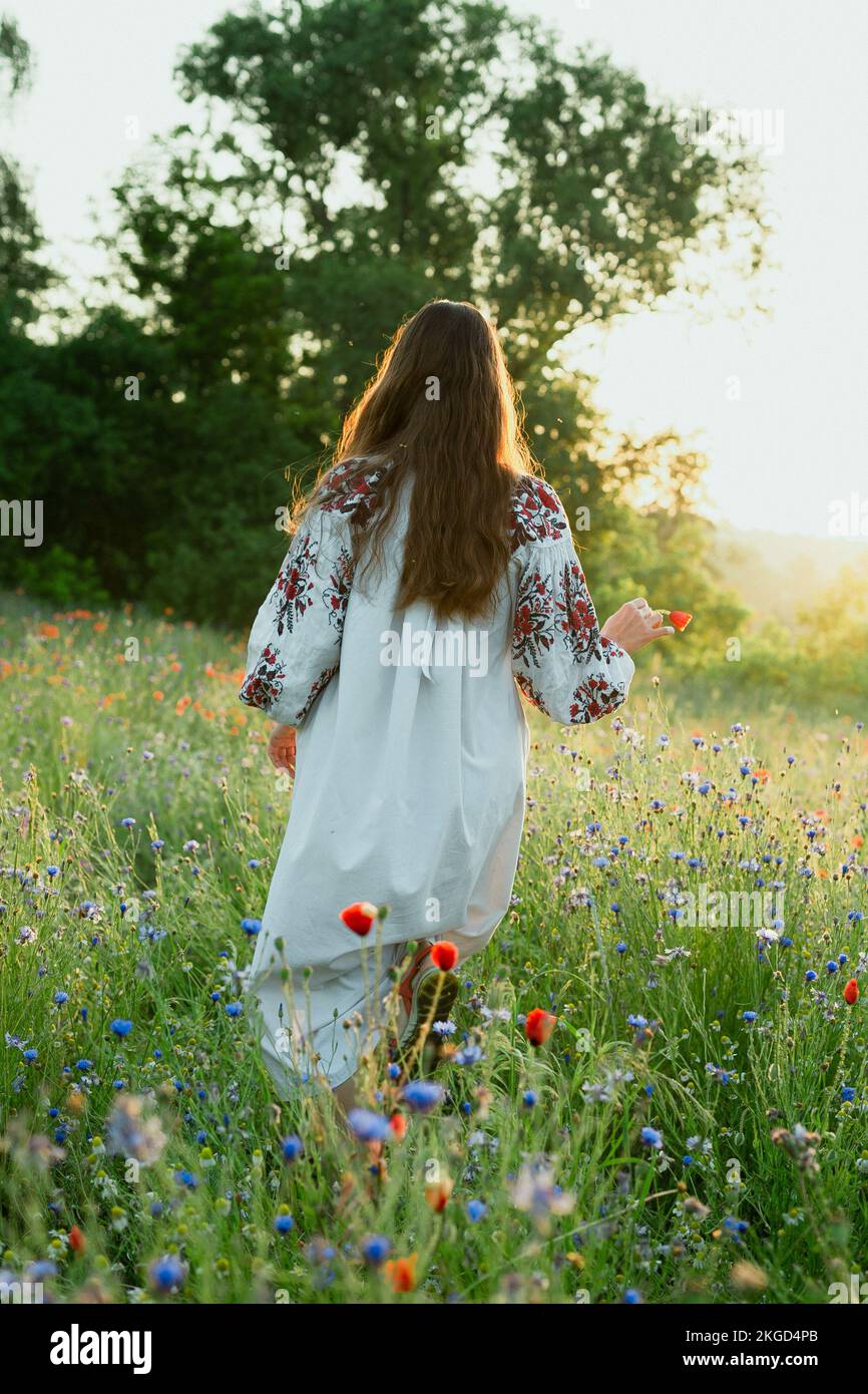 Woman walks in meadow scenic photography Stock Photo