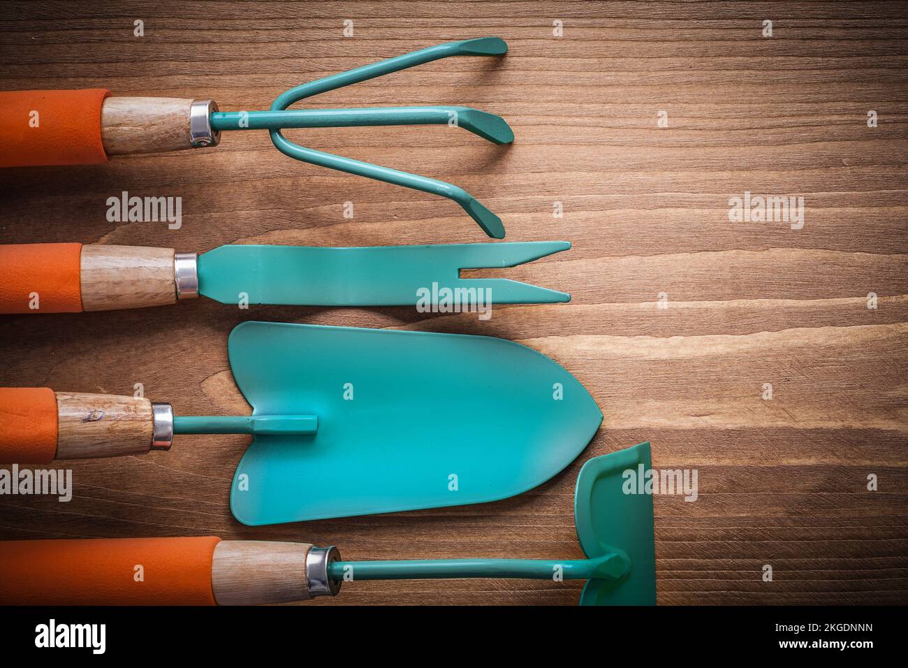 Collection of gardening hoe root dandelion trowel spade and rake Stock