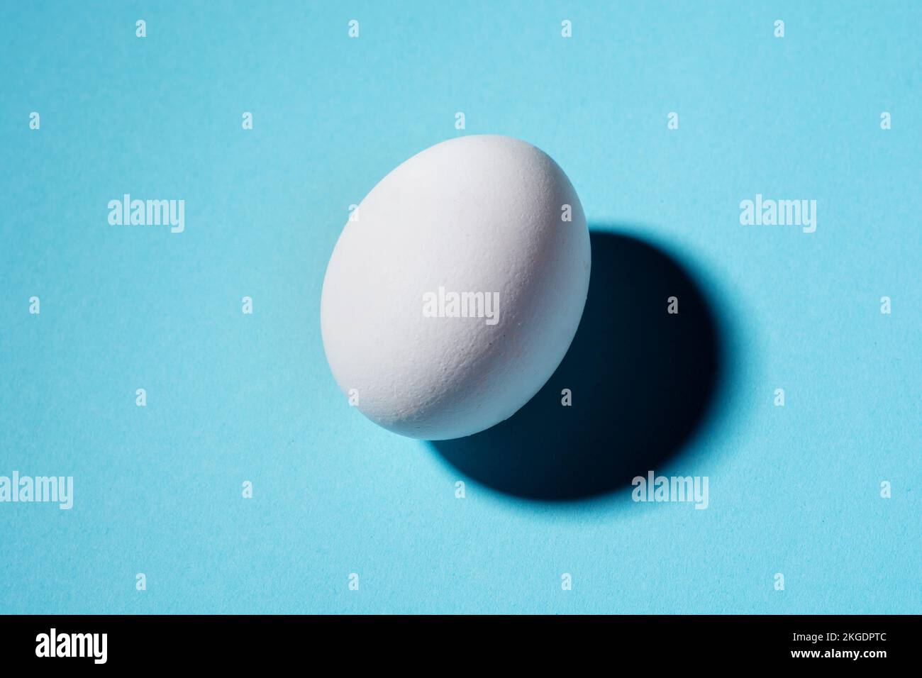 white chicken egg on blue background with hard shadow Stock Photo