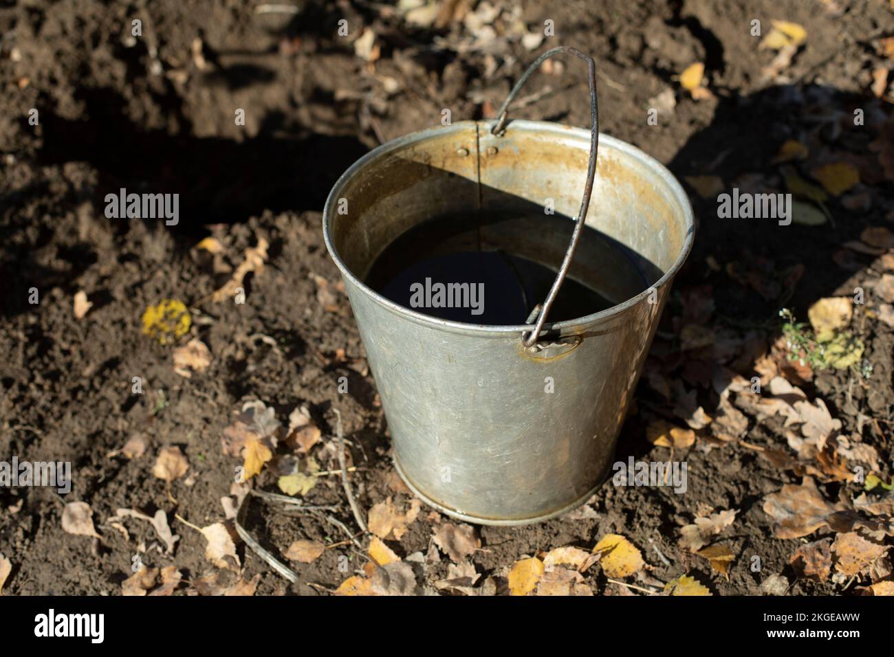 Bucket of water in garden. Steel bucket. Water for watering plants