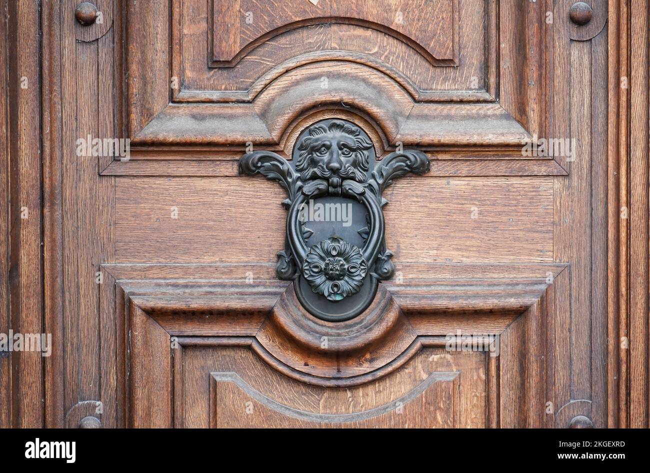 Old metal door knocker with decorations and a lion's head on a rustic wooden door. Stock Photo