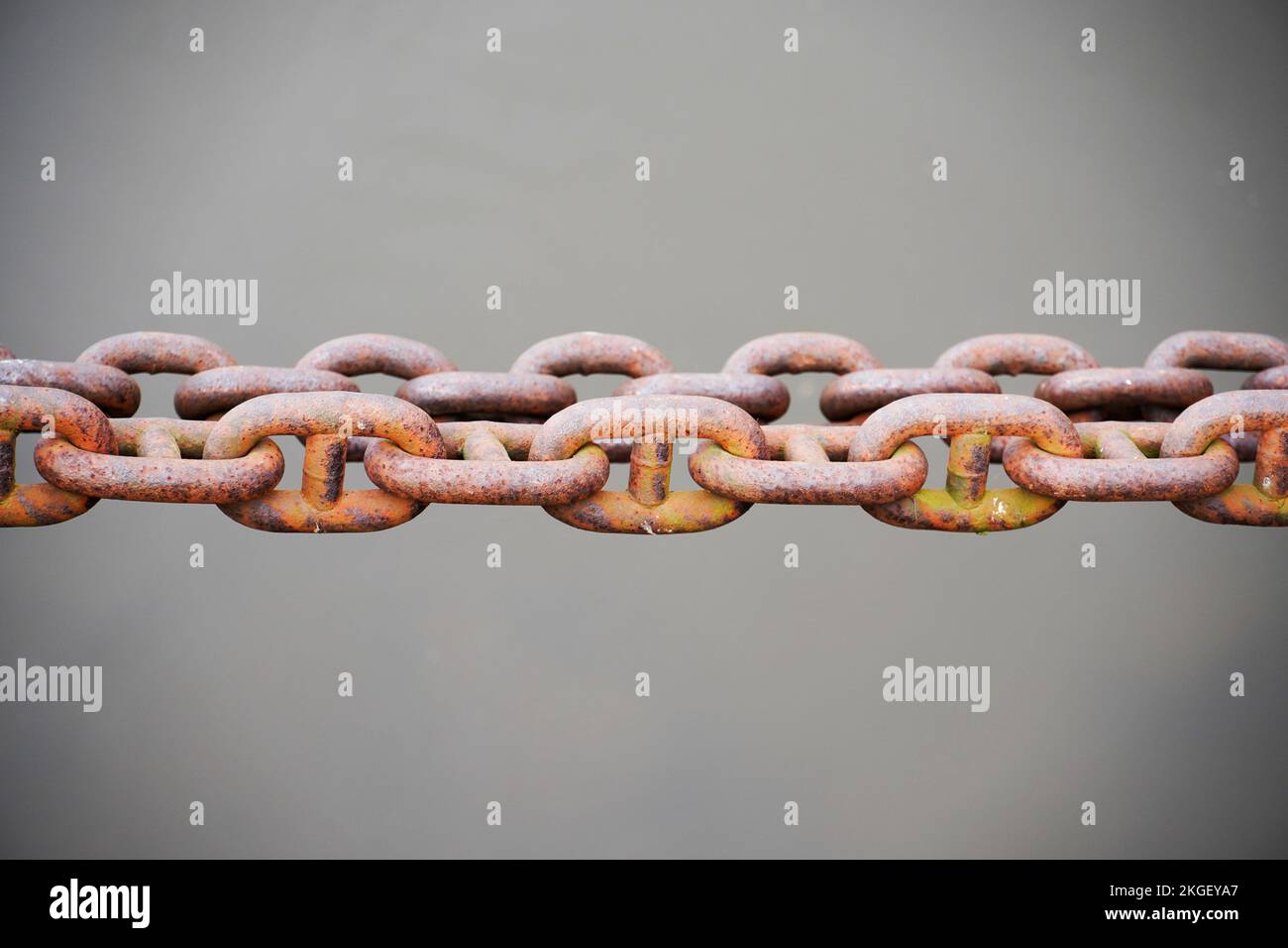 Rusty anchor chain against a gray background. Stock Photo