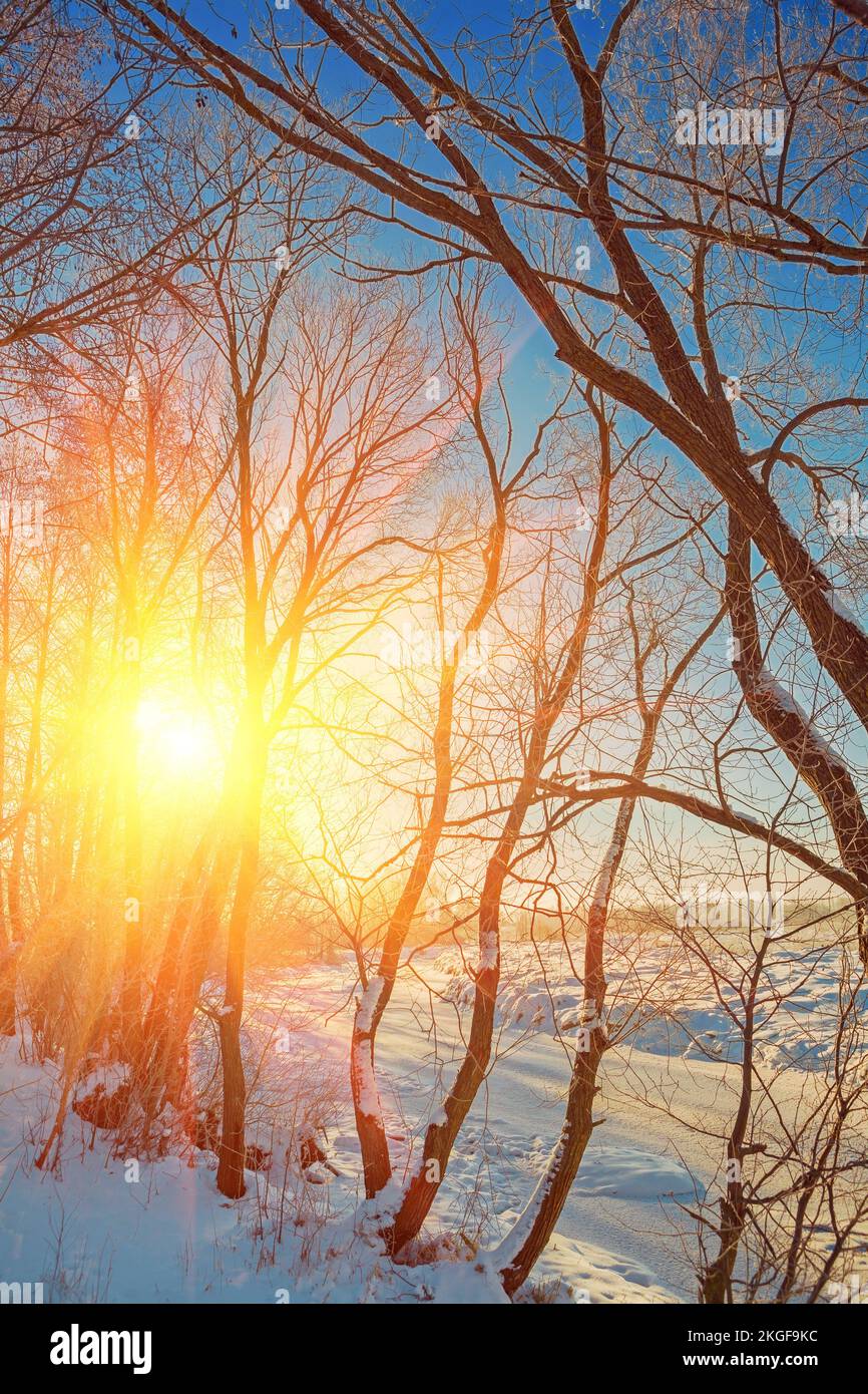 sunset on coast of small frosty river in forest instagram stile Stock Photo