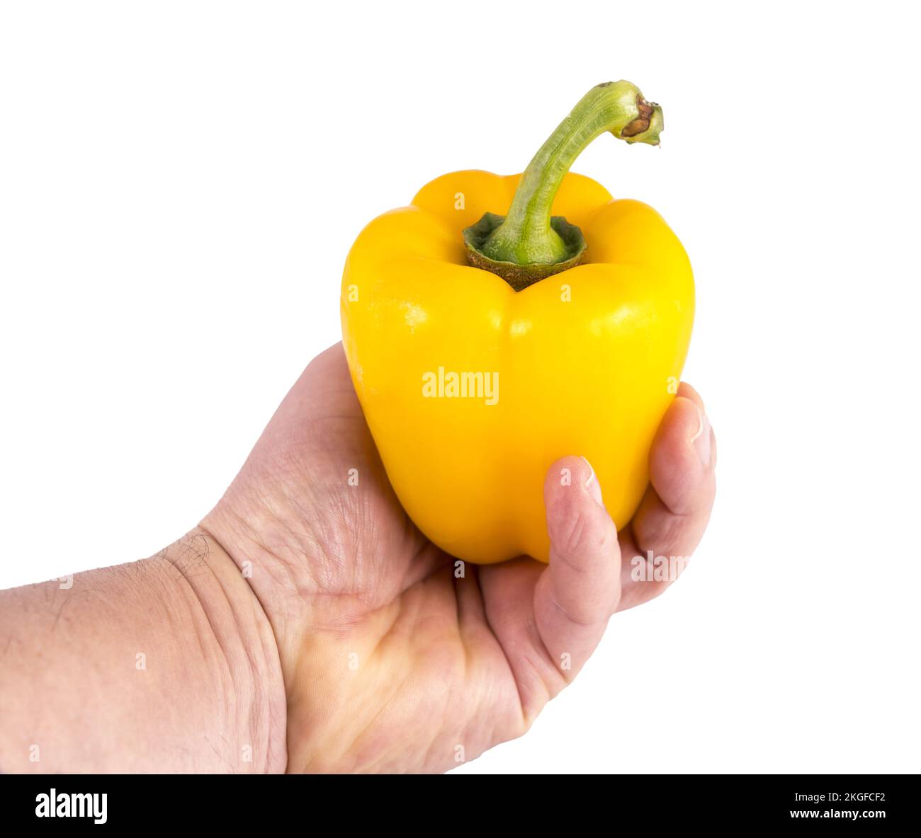 a yellow pepper in hand on a transparent background Stock Photo