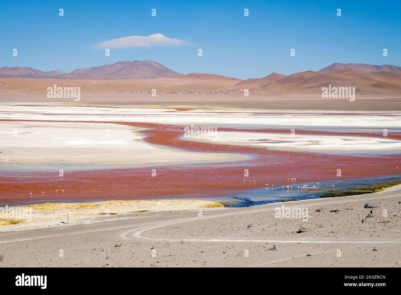 Laguna Colorada (Red Lagoon) in Eduardo Avaroa Andean Fauna National ...