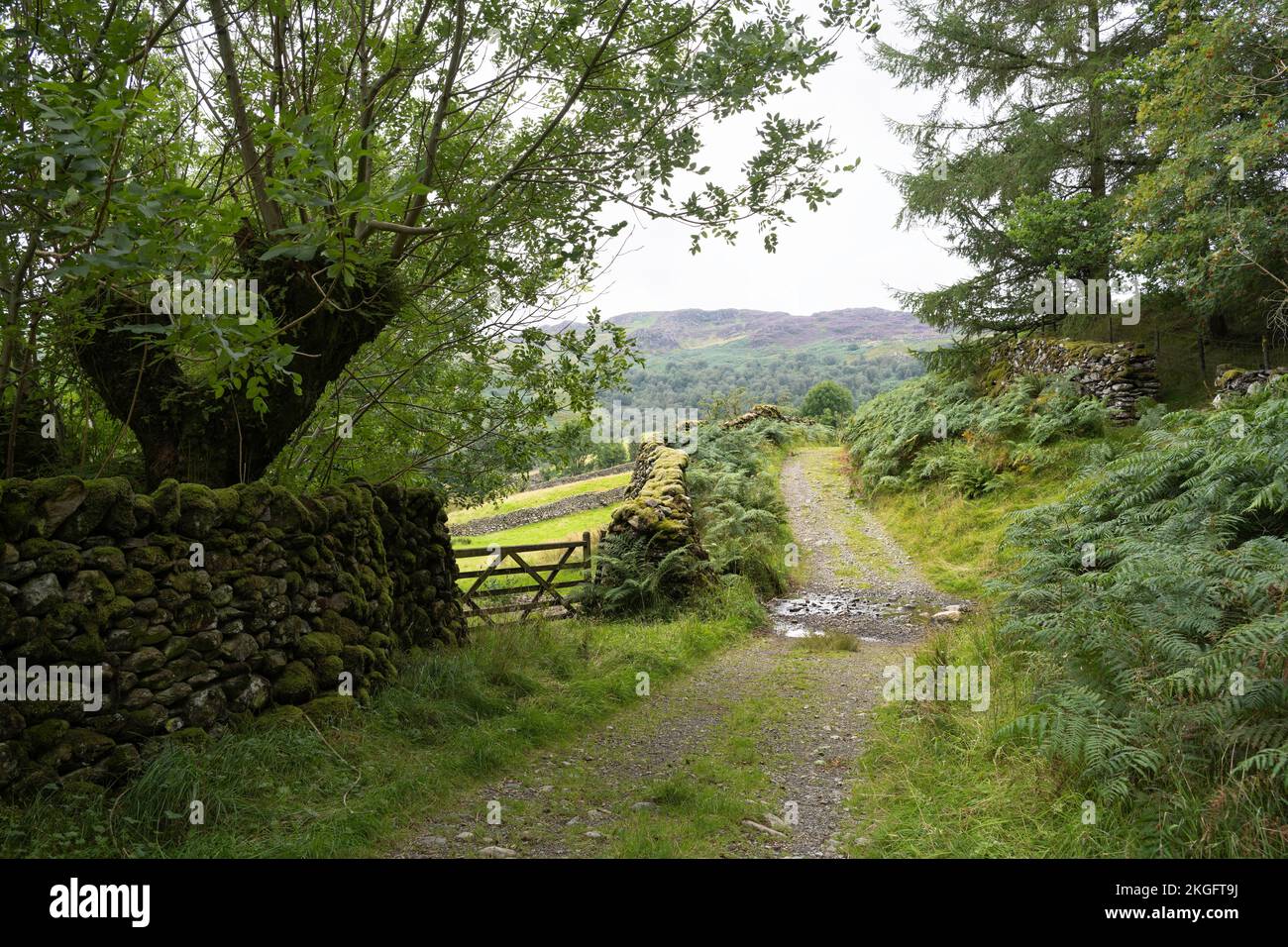 Landscape at Watendlath Tarn, The lake District, Cumbria, England. Stock Photo