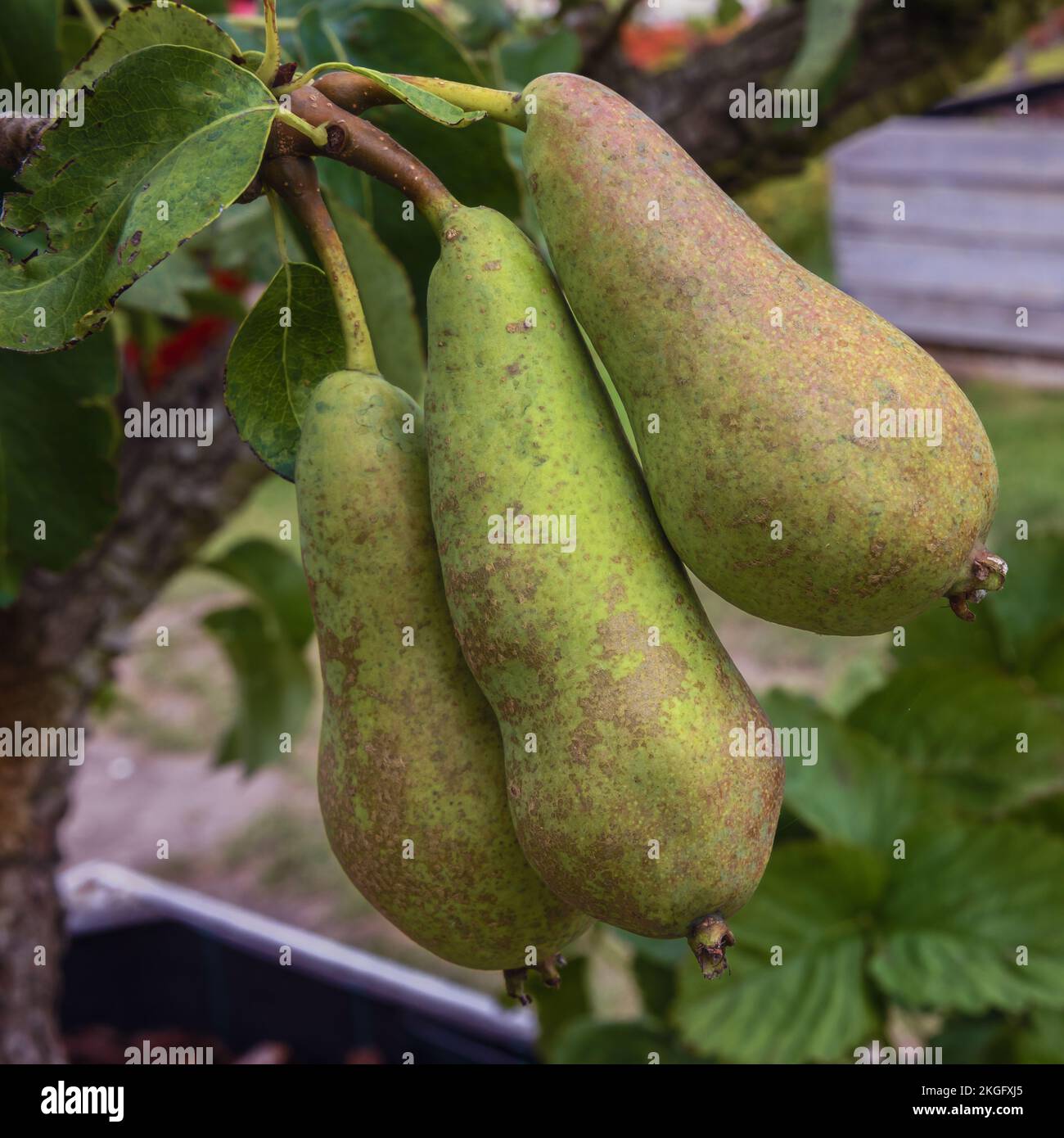 Almere flevoland hi-res stock photography and images - Alamy