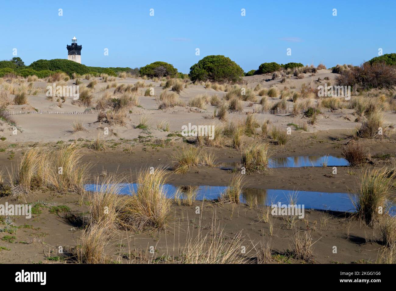 The Lighthouse and the Espiguette beach. Le Grau-du-Roi, Occitanie, France Stock Photo