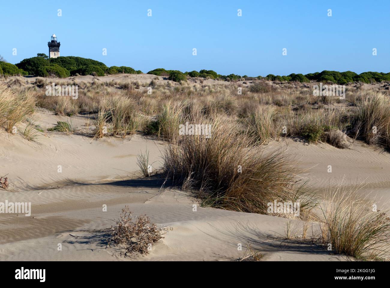 The Lighthouse and the Espiguette beach. Le Grau-du-Roi, Occitanie, France Stock Photo