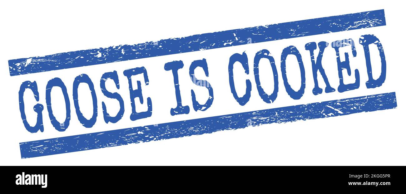 GOOSE IS COOKED text written on blue grungy lines stamp sign. Stock Photo