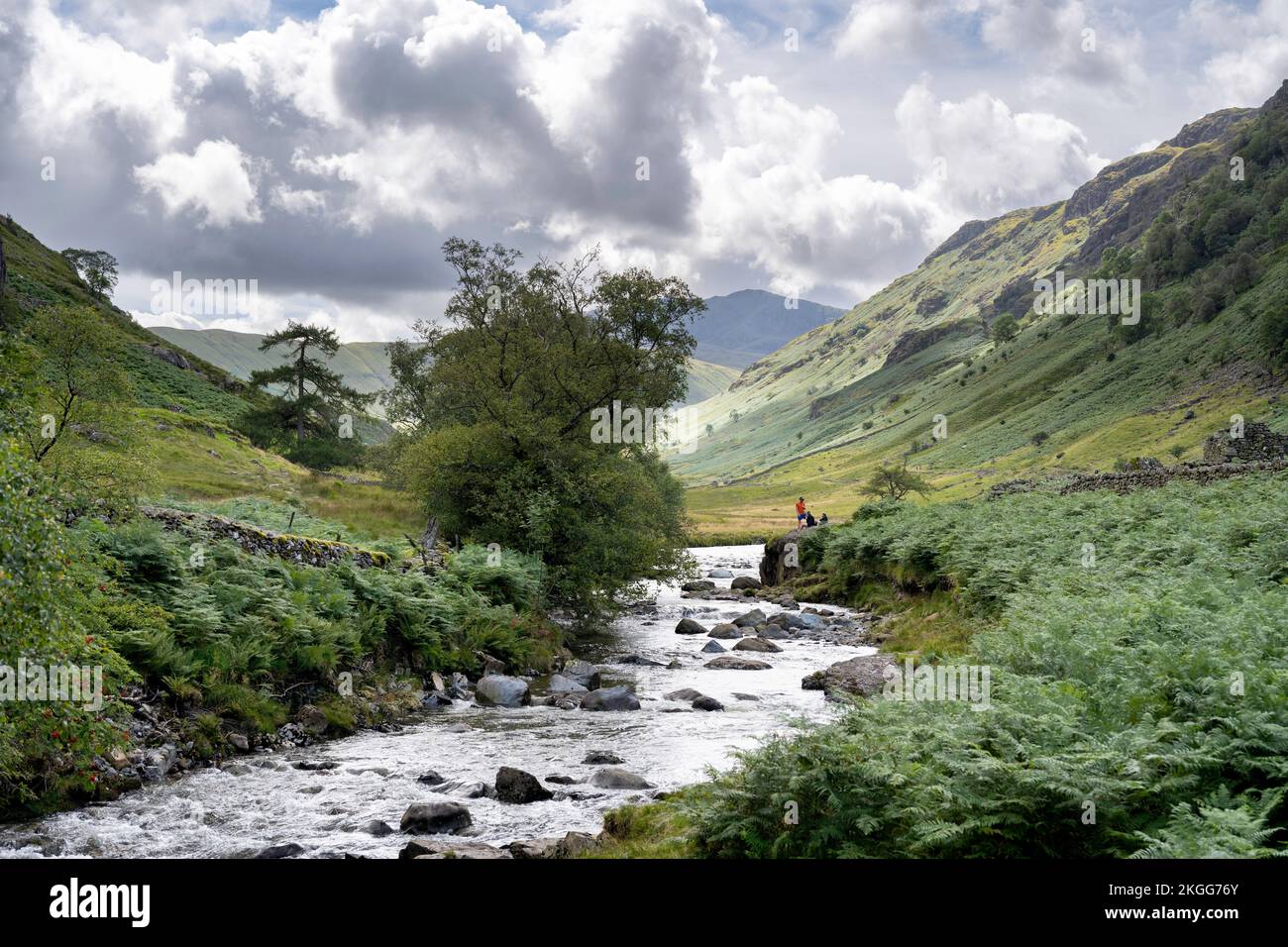 Langstrath Beck, Borrowdale, The Lake District, Cumbria, England. Stock Photo