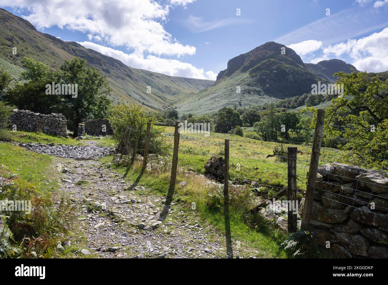 Path to Galleny Force from Stonethwaite, Borrowdale, The Lake District, Cumbria, England. Stock Photo