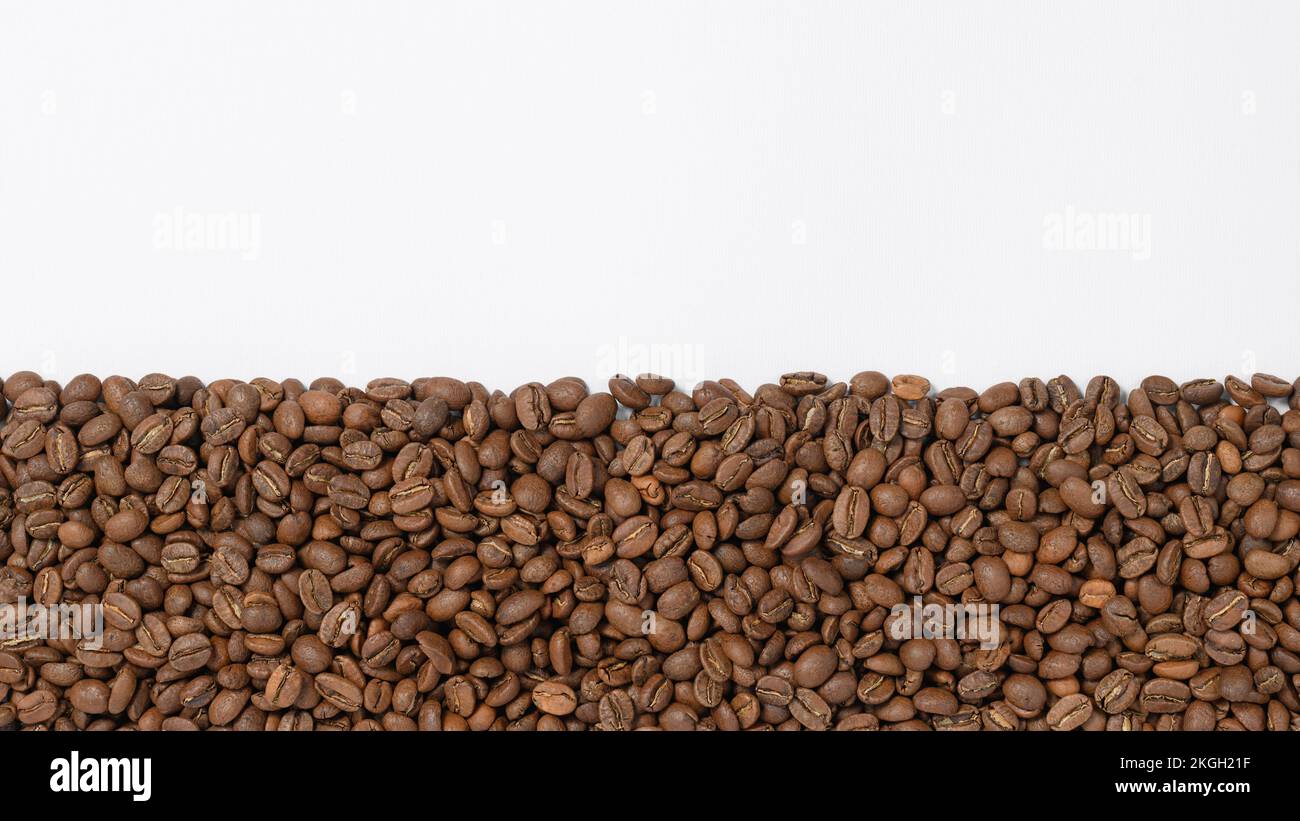 Coffee beans laid out in one wide row on a white background, place for ...