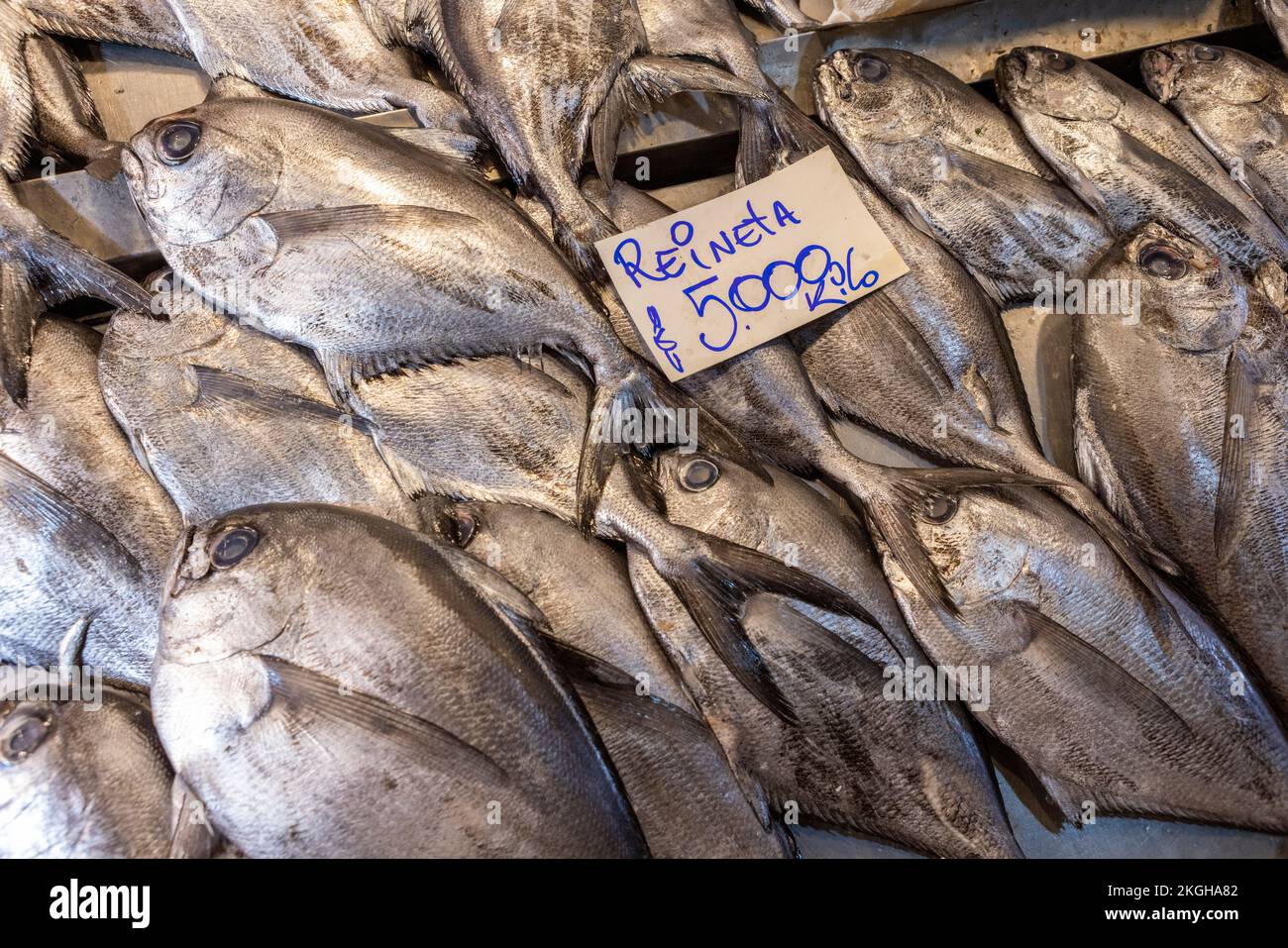 Fresh fish at the Central Market (Mercado Central) in Santiago de Chile
