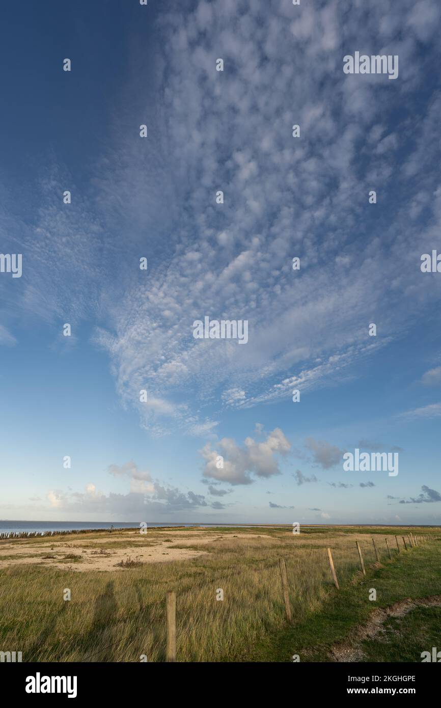 Landscape in the North of Friesland the Netherlands Stock Photo Alamy