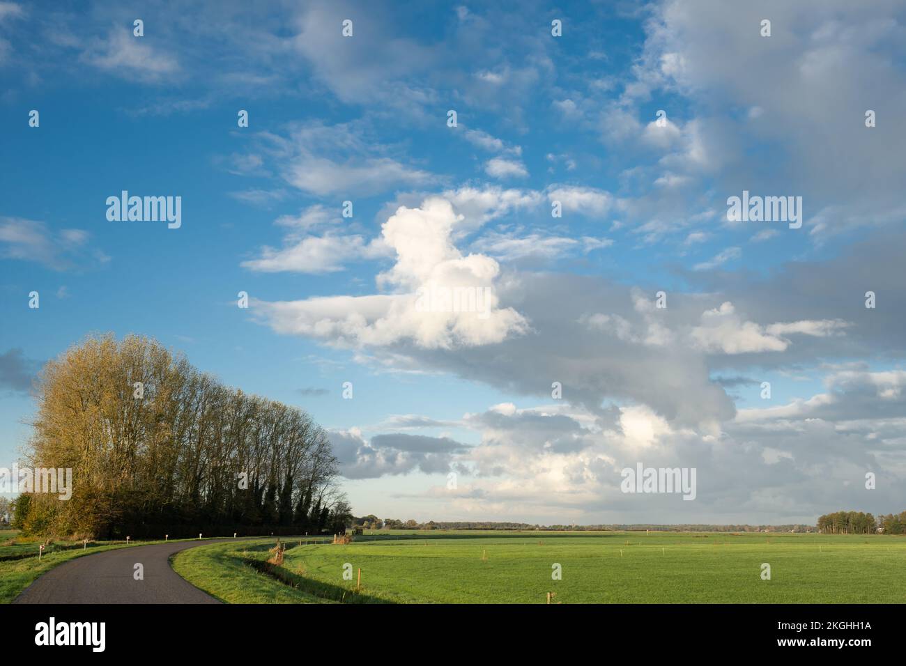 Landscape in the North of Friesland the Netherlands Stock Photo