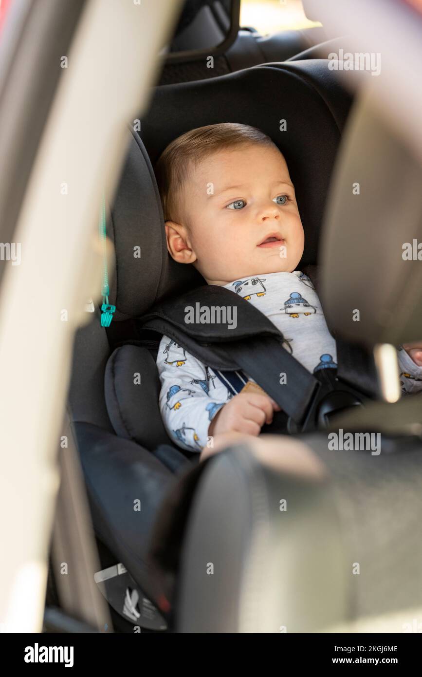 Baby in the car seat with security belt Stock Photo Alamy