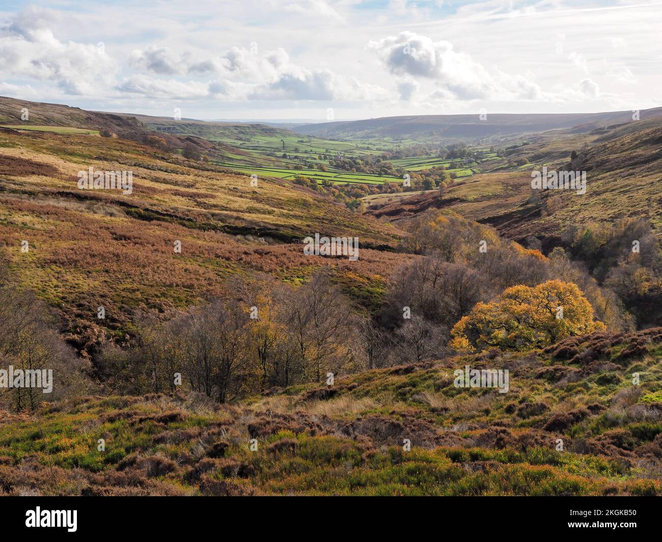 View down Rosedale valley on the Rosedale Ironstone Railway, North York Moors Stock Photo