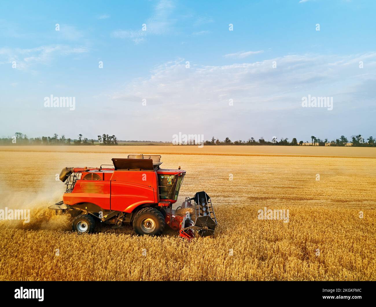 Aerial drone photo of red harvester working in wheat field on sunset ...