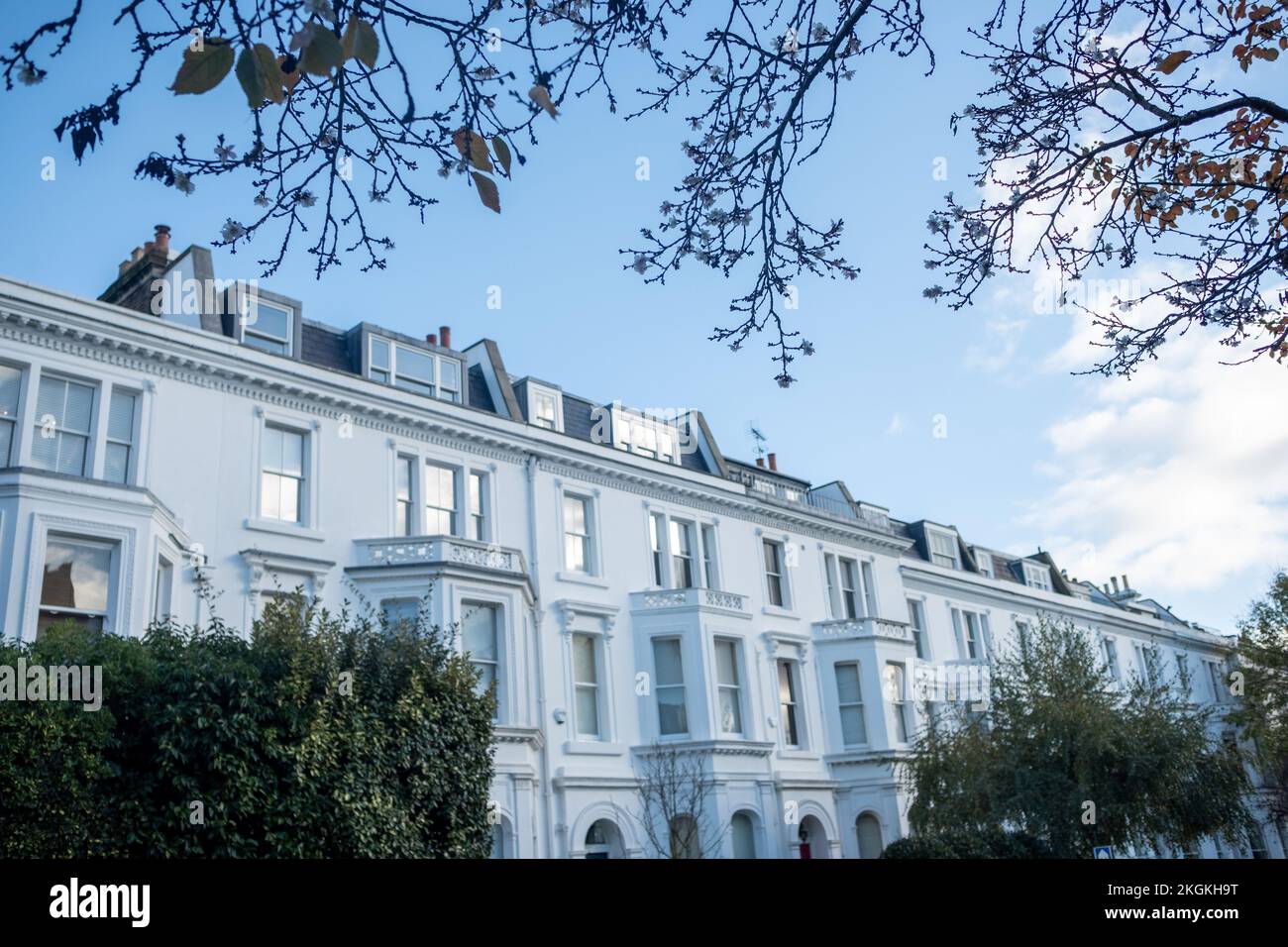 London- November 2022: Upmarket white stucco houses in Kensington, west London Stock Photo