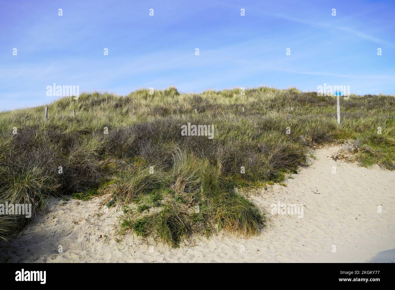 Dune landscape at the Dutch North Sea coast. Nature reserve. Netherlands. Stock Photo