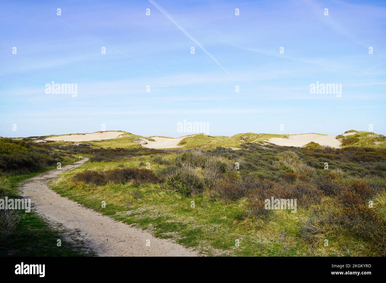 Dune landscape at the Dutch North Sea coast. Nature reserve. Netherlands. Stock Photo