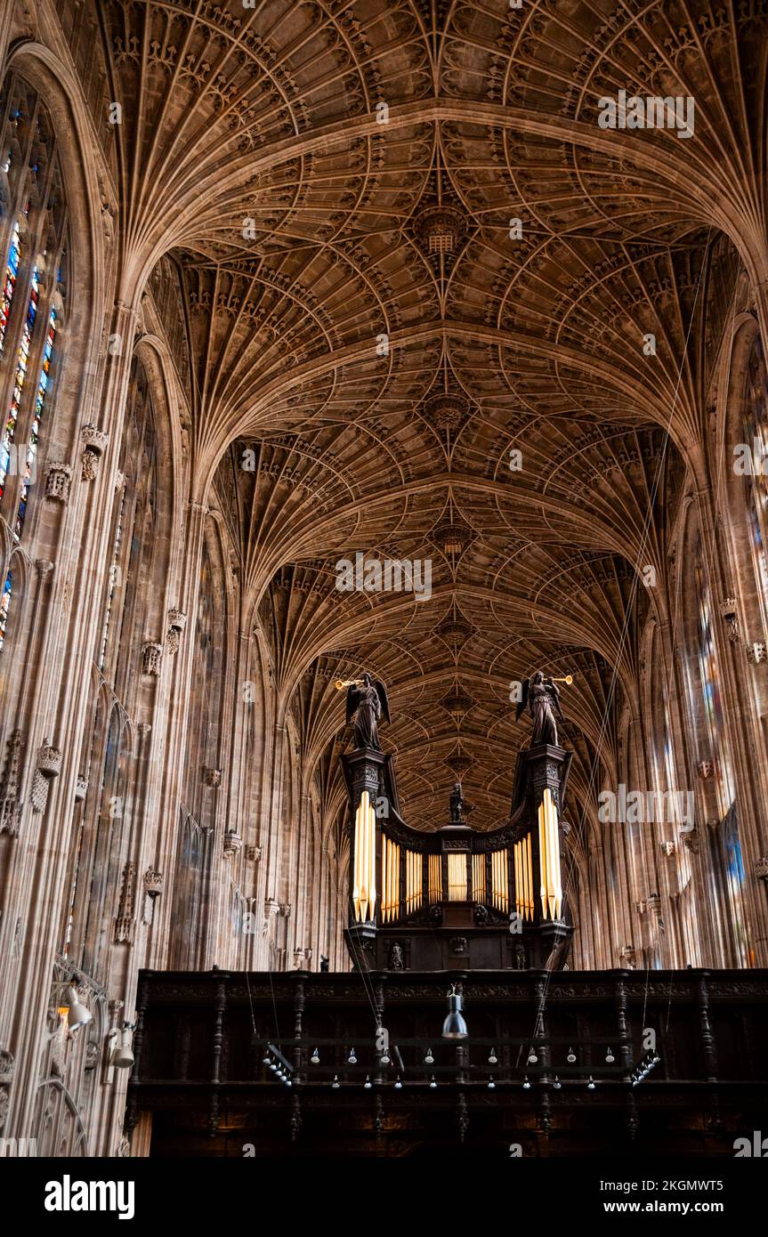 The world's largest fan vaulted ceiling is at King's College Chapel in Cambridge, England. Stock Photo