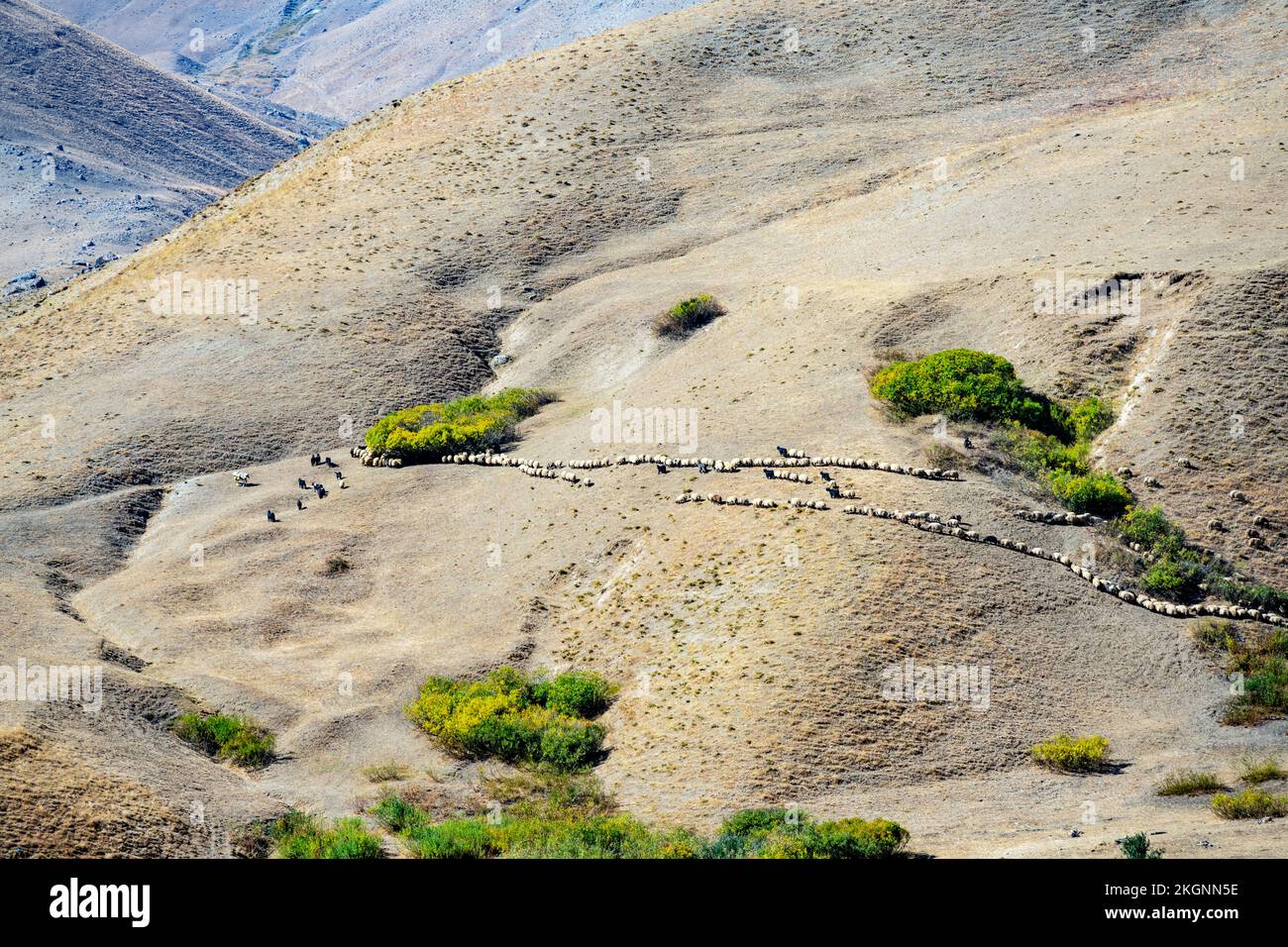 Hakkari district hires stock photography and images Alamy