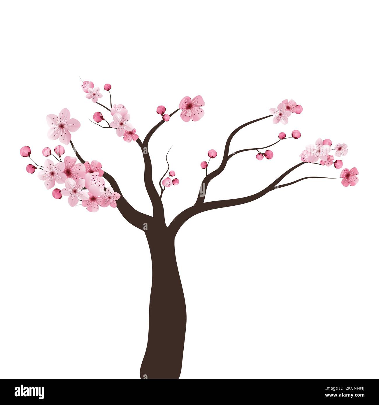 Full bloom pink sakura tree Cherry blossom black wood isolated on white, flower branch backdrop, flora bush banner vintage frame. Pastel sweet spring Stock Vector