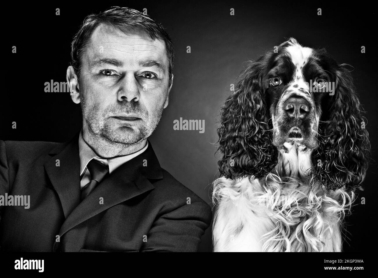 Portrait of mature man with English Springer Spaniel Stock Photo