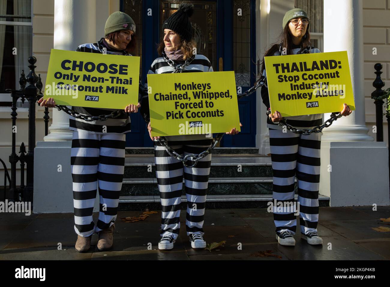 London, UK. 23rd November, 2022. PETA supporters stand outside the Thai ...