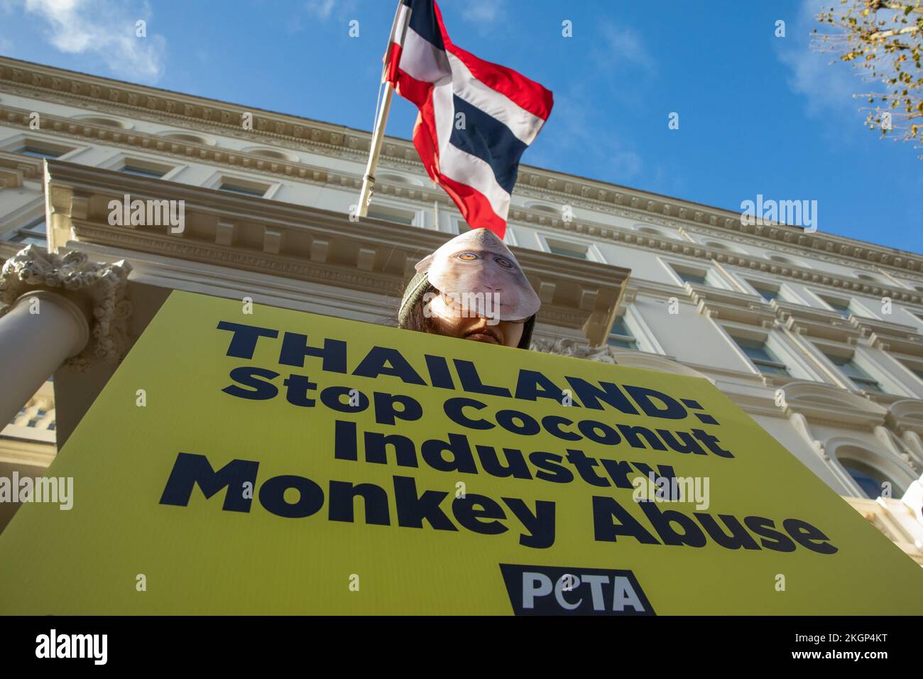 London, UK. 23rd November, 2022. A PETA supporter holds up a sign ...