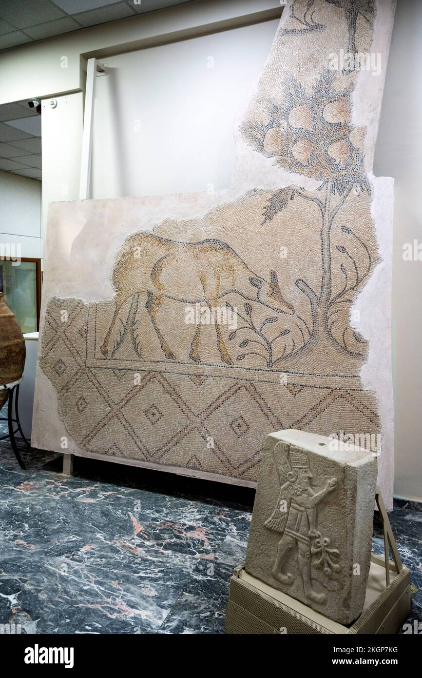 Asien, Türkei, Malatya, MalatyaMuseum Stock Photo Alamy