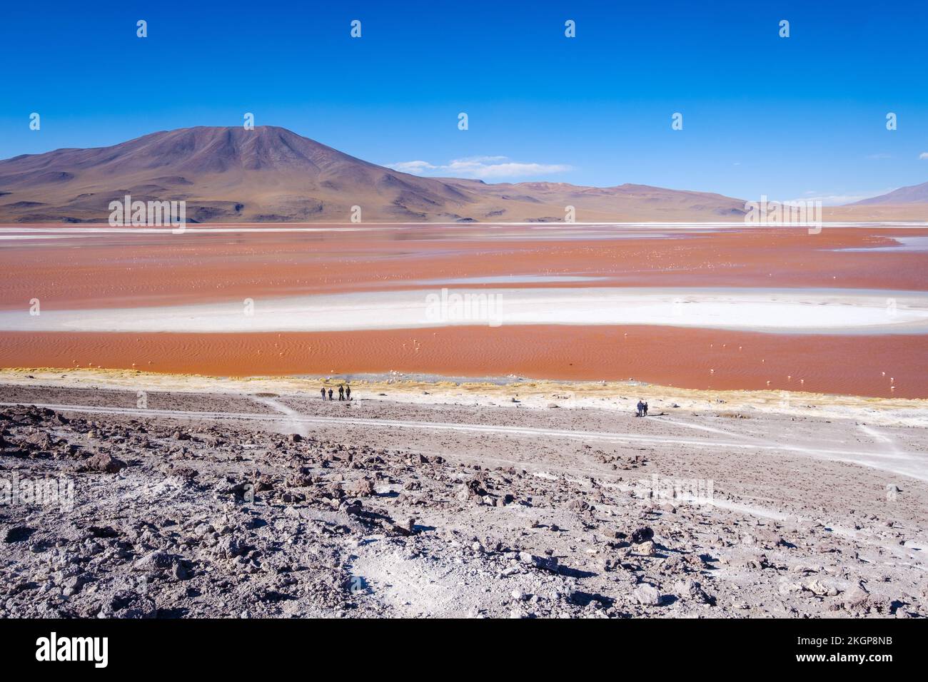 uyuni-guided-tour-hi-res-stock-photography-and-images-alamy