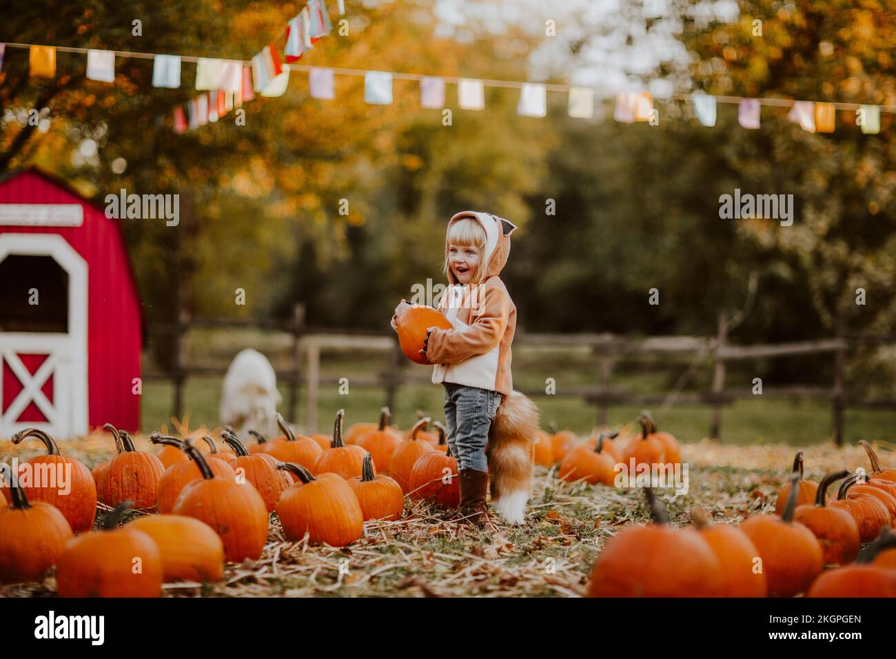 Happy girl wearing fox costume holding pumpkin on field Stock Photo
