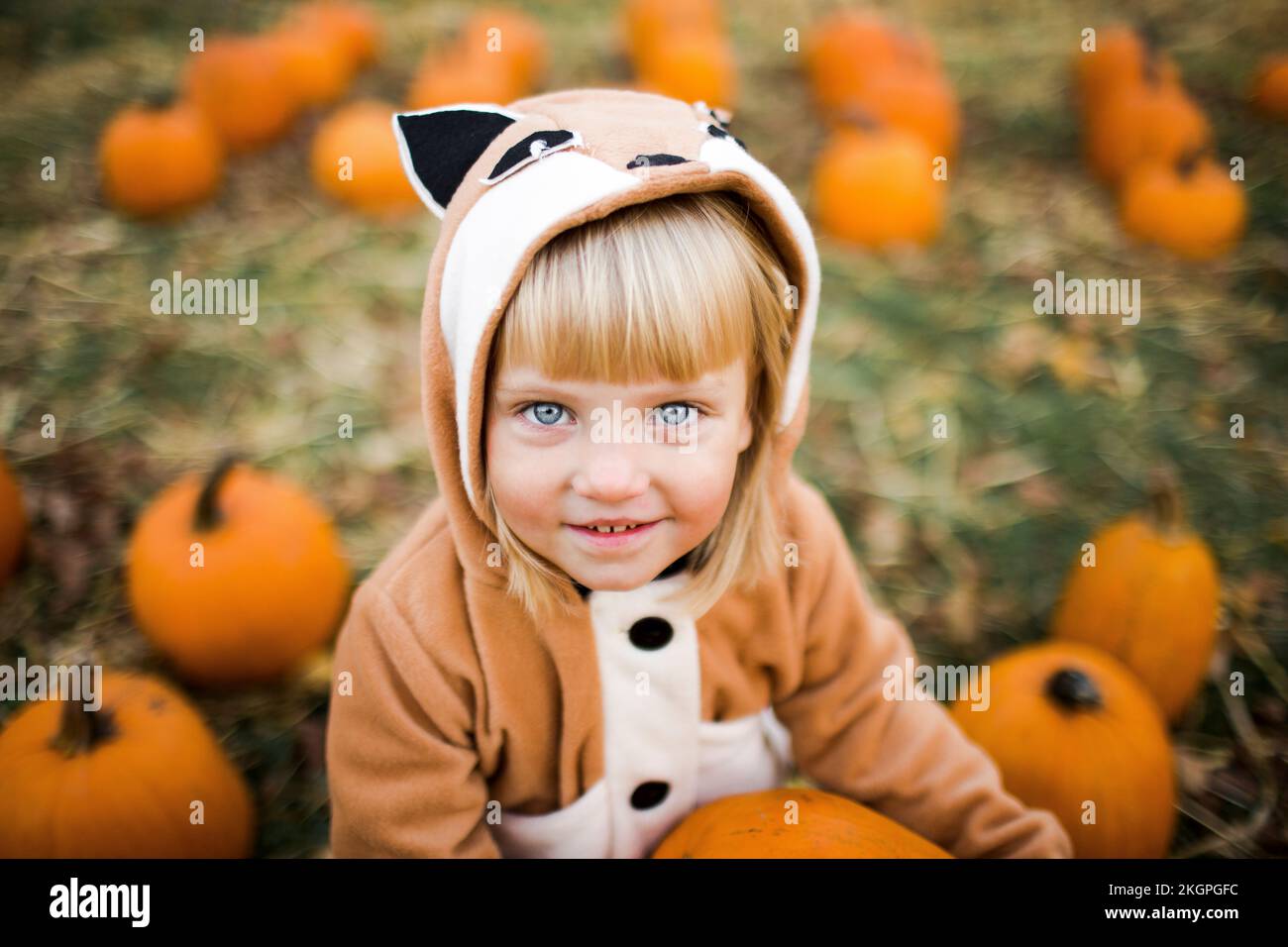 Smiling girl wearing fox costume at pumpkin farm Stock Photo