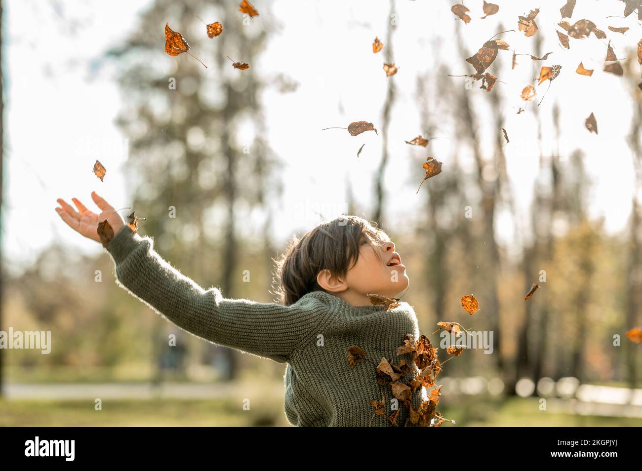 The dry leaves hi res stock photography and images Alamy