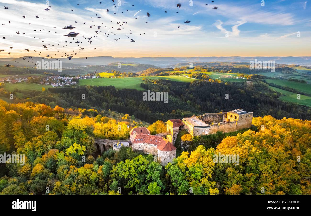 Germany, Baden-Wurttemberg, Drone view of flock of birds flying over ruined Hohenrechberg Castle at autumn dusk Stock Photo