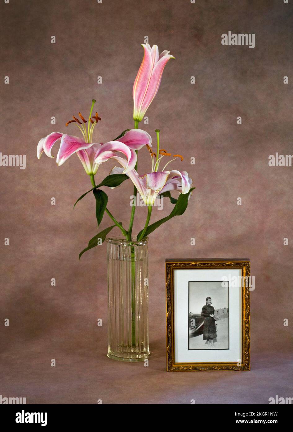 In Memory To Mom, with a lovely bouquet of Stargazer lilies in a vase. Stock Photo