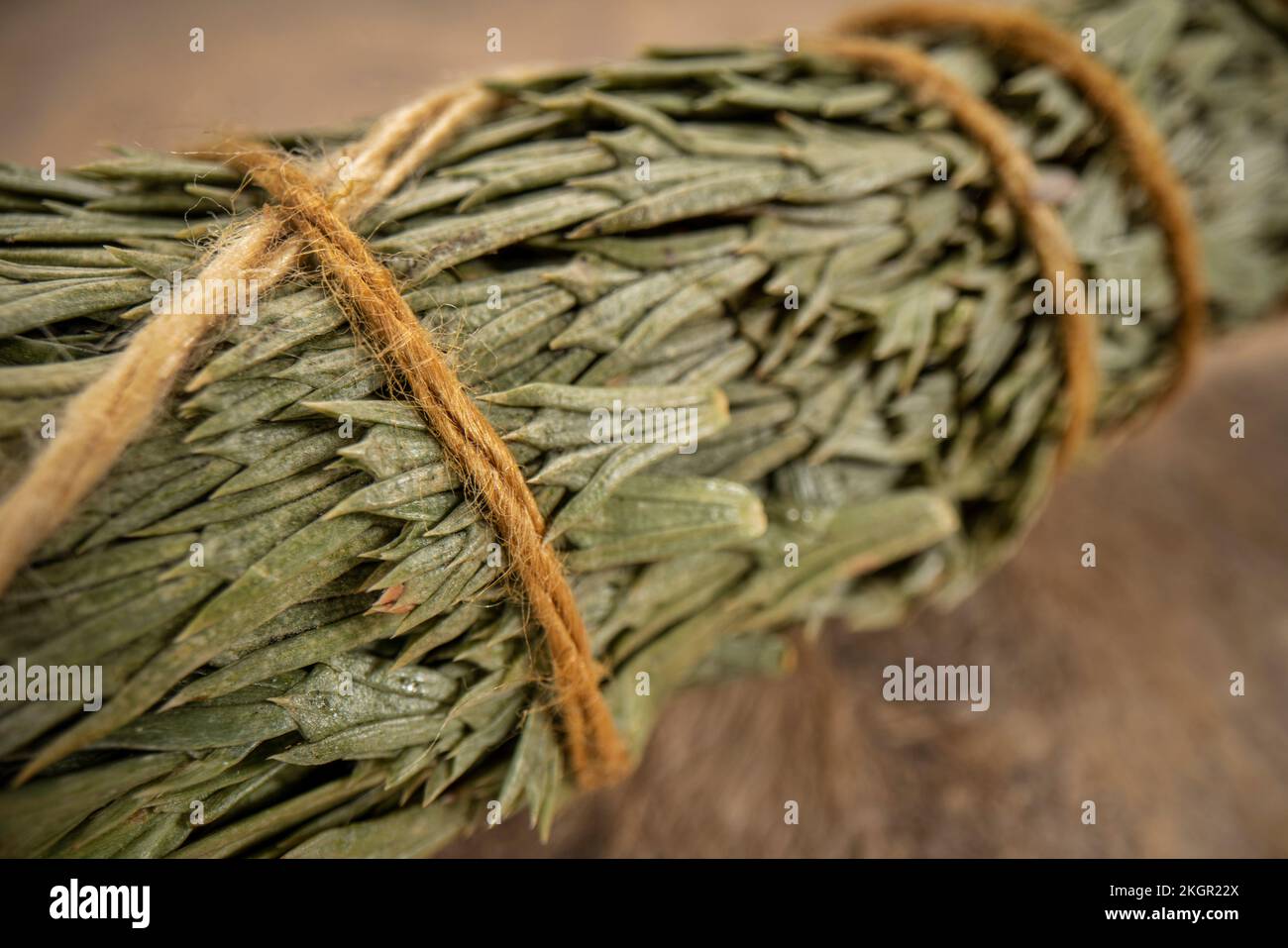 siskiyou cedar incense bundle on a textured bark paper, aromatherapy concept, macro shot Stock Photo