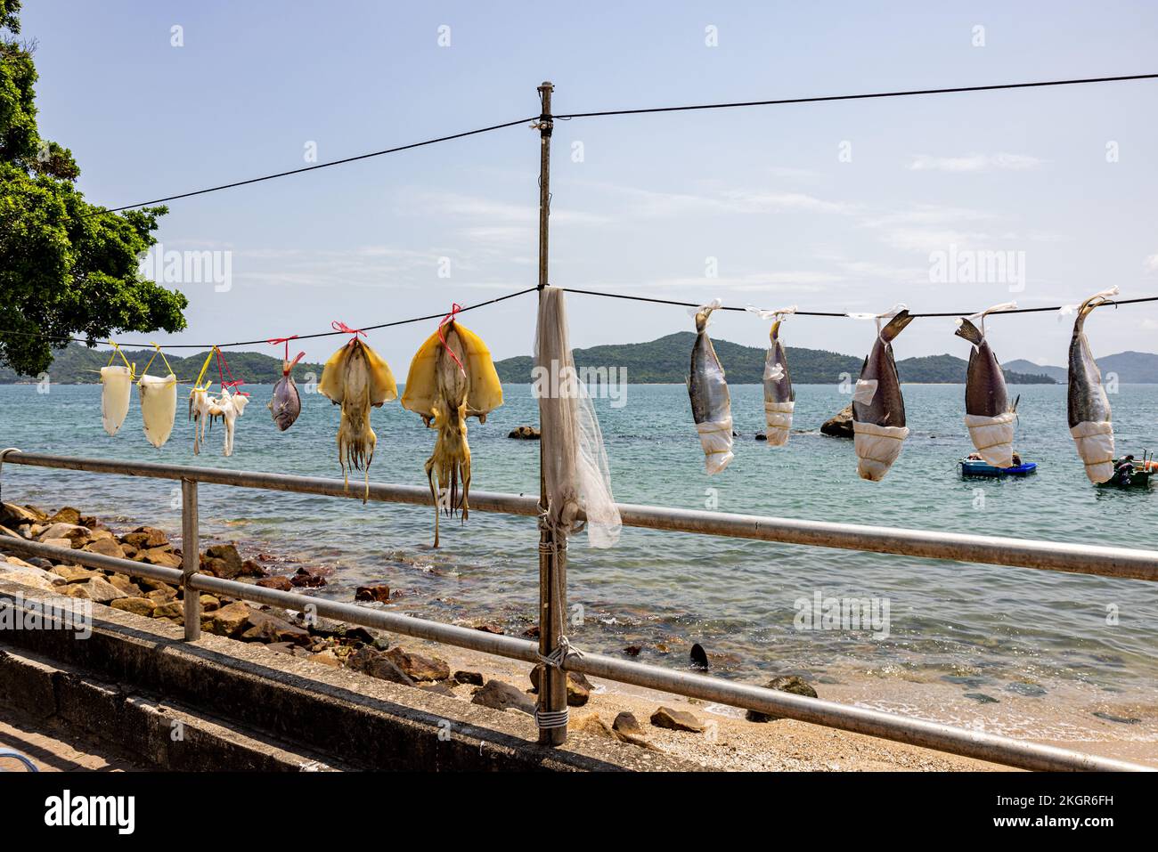 A close-up shot of fish hanging on wires on a beach Stock Photo